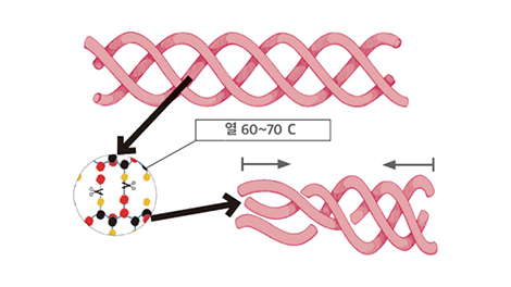 점,사마귀,티눈 레이저