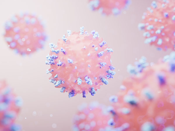 사랑니 악안면외과